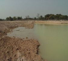 Fvrier 2004 : Marquage de l'emplacement de la piscine en bordure du lac (qui vient d'tre creus sur ~8.000 m2 avec une profondeur de 3m)