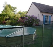 Cloture de la piscine avec en fond notre bosquet de rhododendrons .