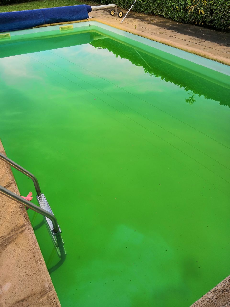 Comment utiliser du sulfate de cuivre dans sa piscine ? - TUTO