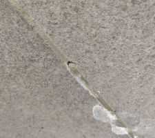 Joint de carrelage