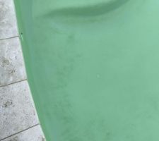 Algues sur revetement