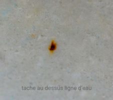 Points noirs, grossis, pris sur la plage de ma piscine.  En rel  ont l?apparence d'une tte d'pingle
