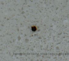 Points noirs, grossis, pris sur la plage de ma piscine.  En rel  ont l?apparence d'une tte d'pingle
