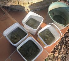 Verre sorti du filtre (1 saison)