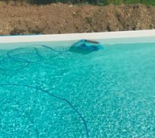 Essai du robot acheter sur un site d'occasion pas cher il fonctionne toujours en 2026