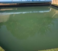 Etat piscine suite lancement traitement, nettoyage brosse, aspirateur, blackwash