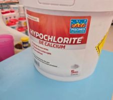 Traitement effectu� le soir apr�s conseil vendeur & analyse eau piscine qui � priori ressortait ok...