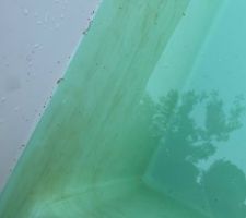 Taches marrons sur hauteur d eau